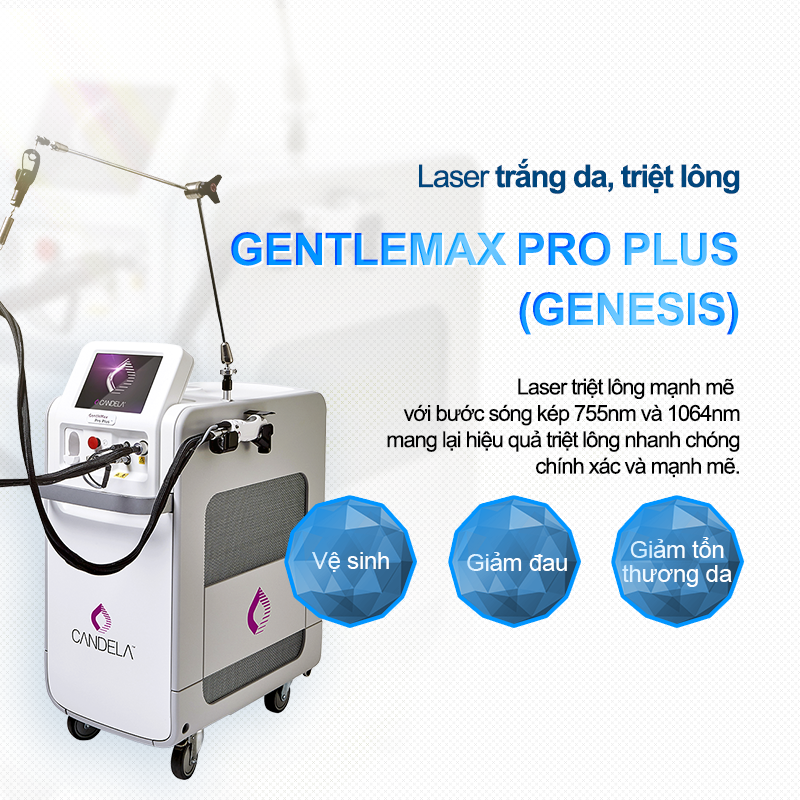 Gentlemax Pro Plus - VandS Hongdae